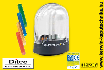 FLM DITEC